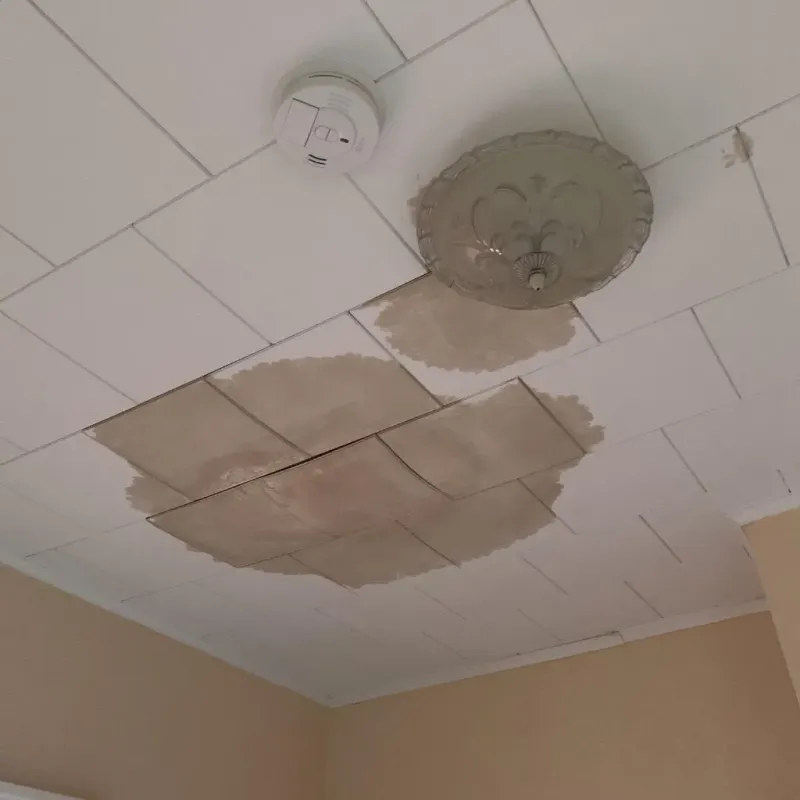 Ceiling Water Damage Repair in Leavittsburg, OH