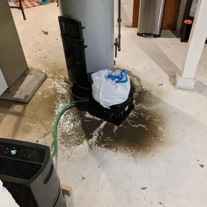 Sewage Backup Cleanup Service in Leavittsburg, OH